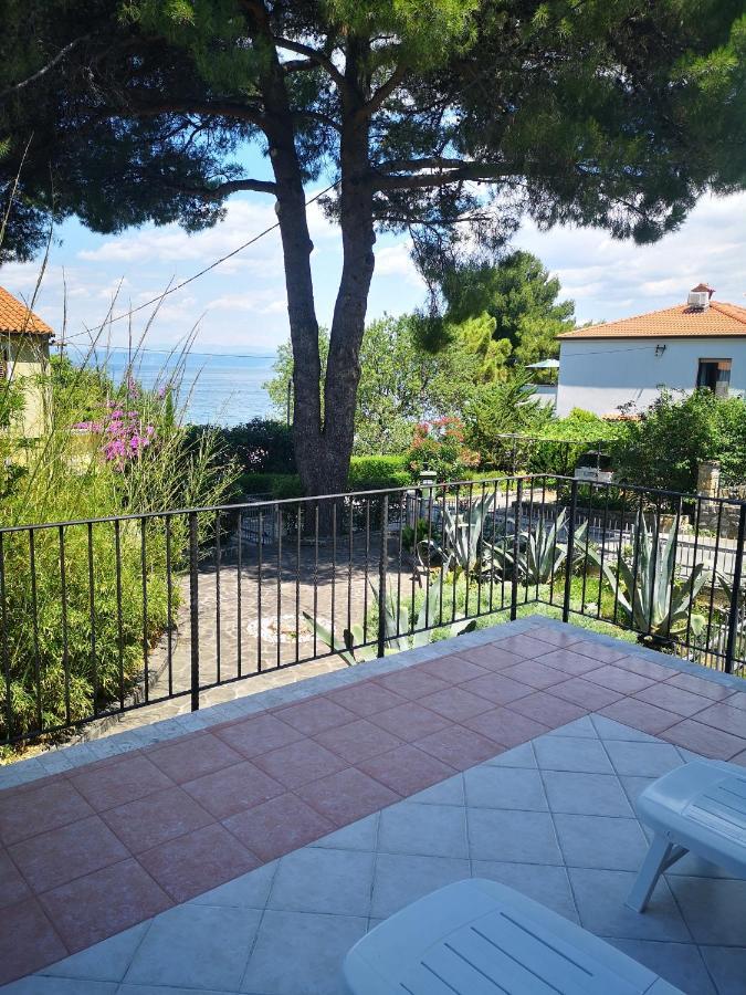 Apartment & Rooms Lilis Izola Exterior photo